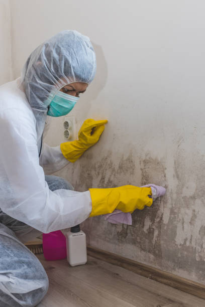 Best Residential Mold Inspection & Testing  in Eatonton, GA
