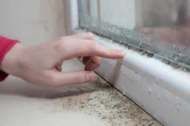 Best Airborne Mold Testing  in Eatonton, GA