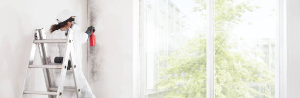 Best Mold Remediation for Healthcare Facilities  in Eatonton, GA