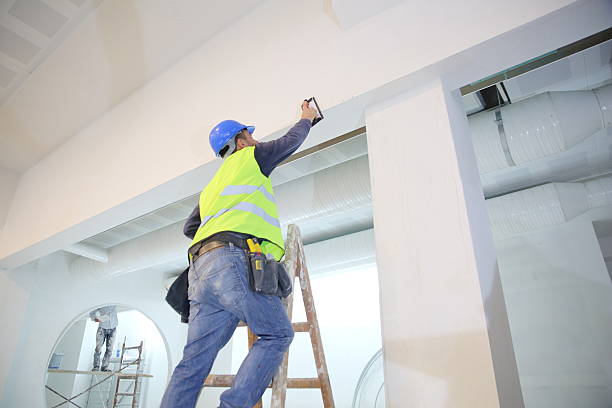 Best Basement Mold Removal  in Eatonton, GA